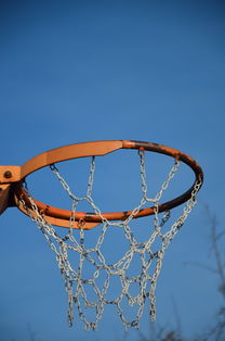 开云官方网页登录-NBA球员体能训练计划设计与效果评估，nba球员的体能训练