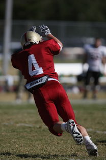 开云官方入口-NBA球队战术执行中的临场决策分析，nba球队的战术都有什么