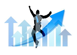 kaiyun登录入口-中国篮球职业俱乐部财务风险管理实践，篮球俱乐部经营与管理