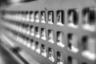 kaiyun网站-体育产业对区域经济的带动作用研究，体育产业在国民经济发展中的特殊作用