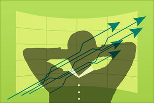 开云电竞平台-体育场馆环境优化与管理策略，体育场馆规划布局例子